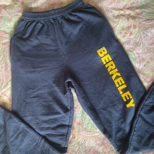 Y2K Womens UC Berkeley Navy Sweatpants